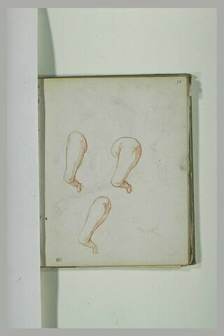 Bras de putto, en raccourci