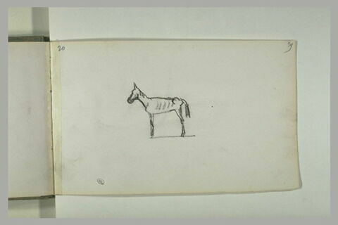 Cheval efflanqué, image 1/1