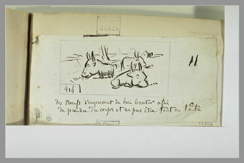 Caricature : tableau représentant des boeufs à grosse tête, image 1/1