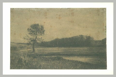 Paysage au crépuscule : au premier plan, arbre près d'un ruisseau