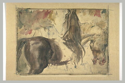 Cheval de dos, et deux têtes de chevaux, image 1/1