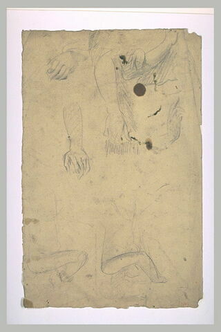 Deux femmes nues, en buste, bras et mains, image 2/2