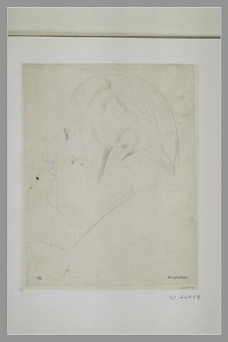 Tête antique, de profil vers la gauche, image 1/1