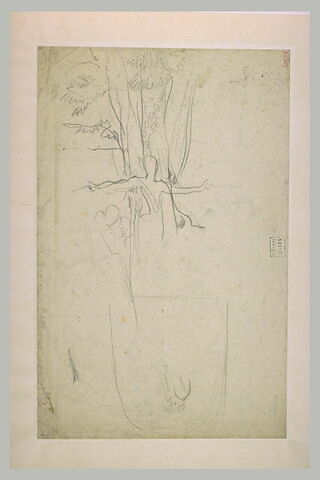 Femme debout, de face, devant un arbre, et une autre étude, image 1/1