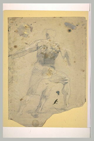 Homme nu, de dos, image 1/1