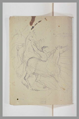Cheval courant ; derrière lui, un homme évitant un cheval, image 1/1