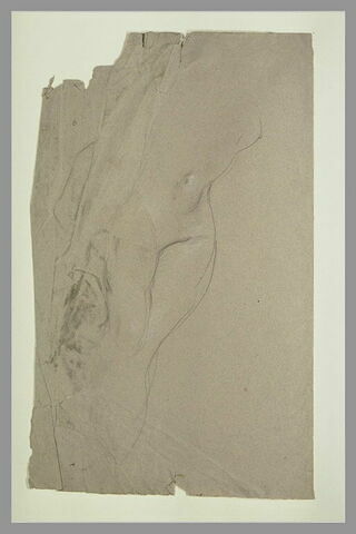 Corps d'une femme nue étendue, les jambes vers la droite, image 1/1