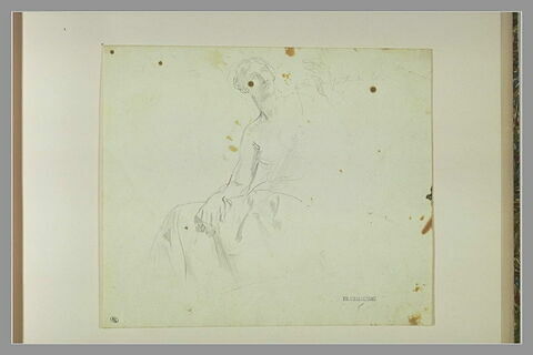 Femme mi-nue, assise, le torse et la tête de face, le bas du corps de profil, image 1/1