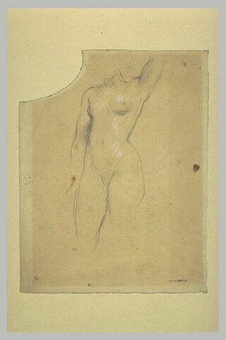 Femme nue, presque de face, bras gauche levé