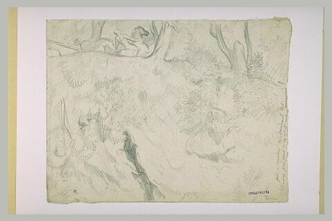 Cavalier galopant vers la droite, au-dessus d'un ravin boisé, image 1/1