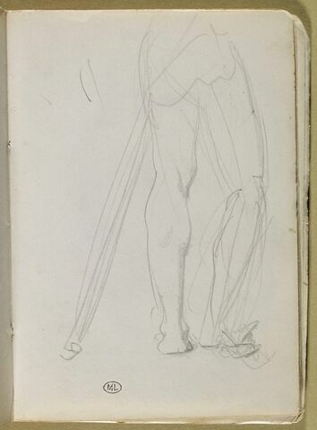 Jambes d'un homme vu de dos, image 1/1