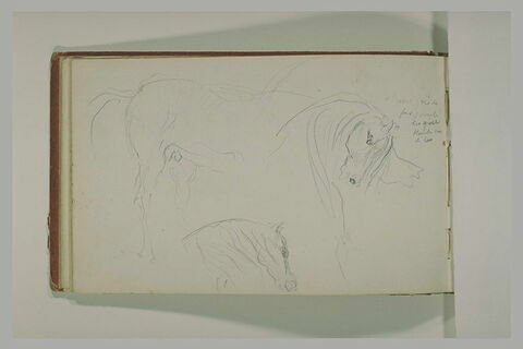 Etudes de chevaux, image 1/1
