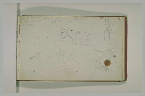 Etudes d'arabes et de mulets, image 1/1