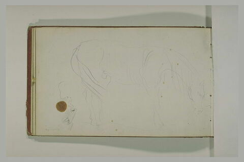 Etudes d'une tête d'arabe et d'un cheval, image 1/1
