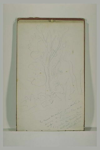 Etude d'arbres, image 1/1