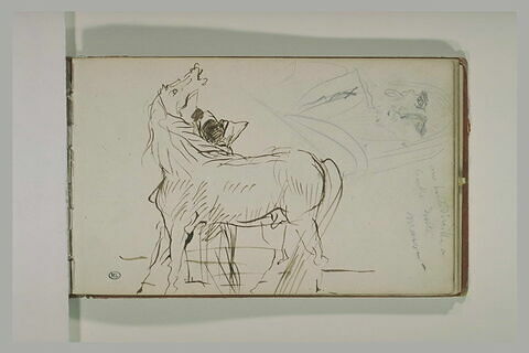 Etude de la tête d'un vieil arabe et d'un cheval, image 1/1