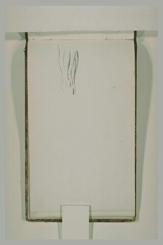 Etude d'une jambe de cheval, image 1/1