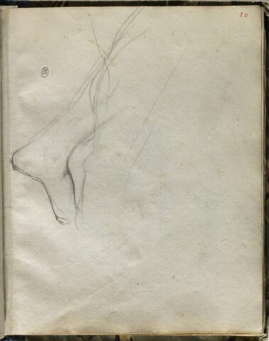 Etude de jambe, image 1/1