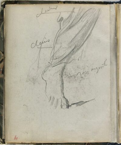 Etude de jambe, image 1/1