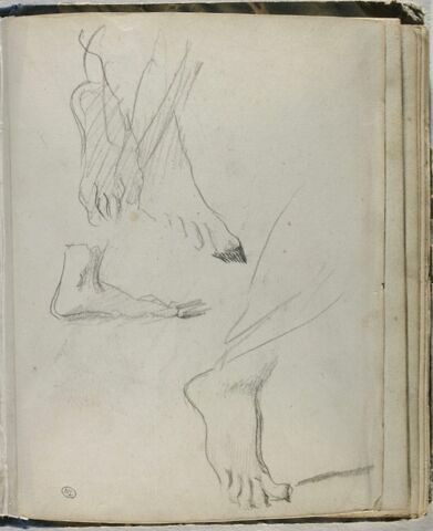 Feuille d'études de pied, image 1/1