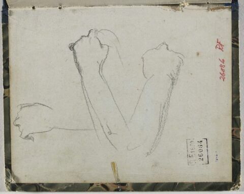 Etude de bras, image 1/1