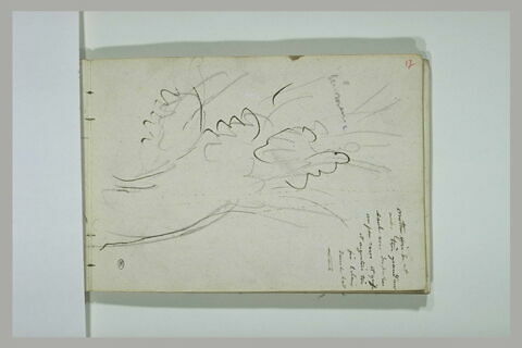 Esquisse d'un arbre, image 1/2