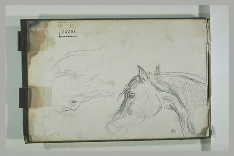 Deux études de tête de cheval, image 1/1