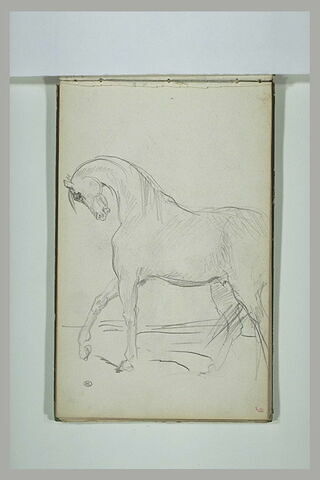 Croquis de cheval, image 1/1