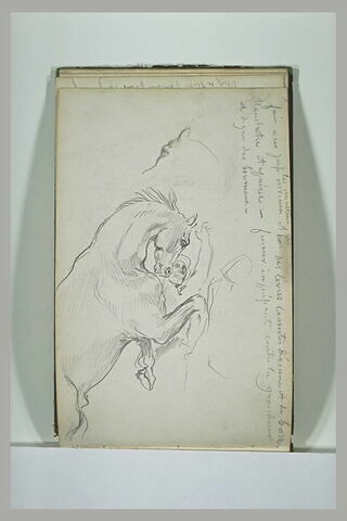 Croquis de cheval se cabrant prés d'un homme, image 1/1