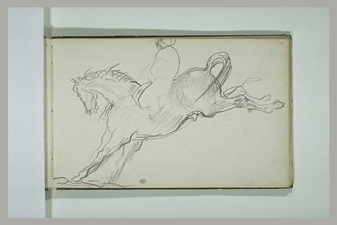 Cavalier et son cheval au galop, image 1/1