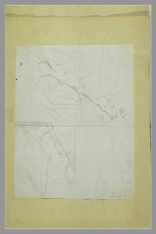 Deux études d'arbres, image 1/1