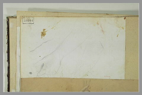 Etude de bras, image 1/1