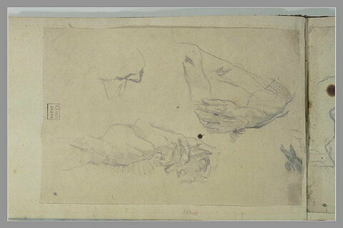 Etude de bras, image 1/1