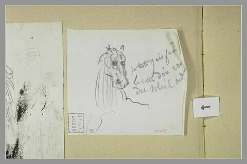 Tête de cheval, image 1/1