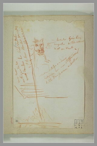 Tête de cheval, image 1/1