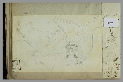 Deux lionnes, image 1/1