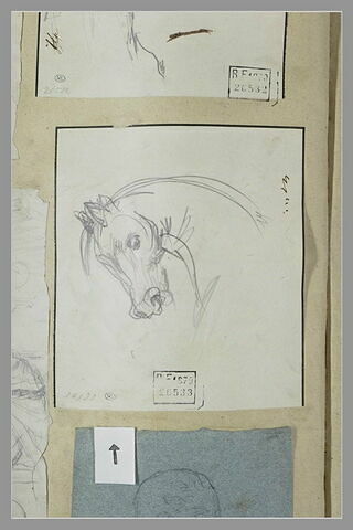 Tête de cheval tournée à gauche, image 1/1