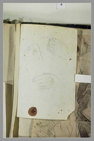 Homme à mi-corps ; deux études de main ; tête de femme, image 1/1