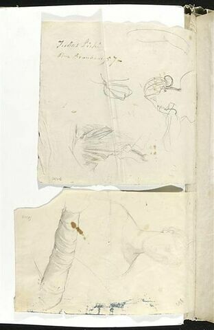 Femme en buste, tournée vers la gauche ; draperie, image 1/2