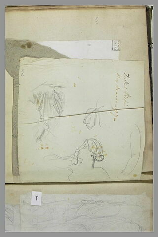 Femme en buste, tournée vers la gauche ; draperie, image 2/2