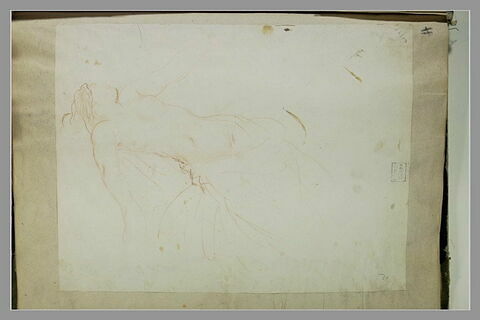 Femme nue couchée, image 2/2