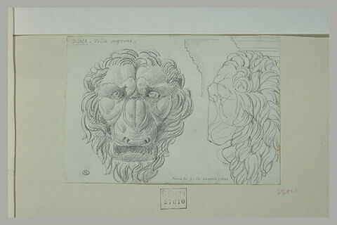 Mascaron de lion : face et profil