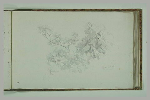 Papigno : rochers et arbres