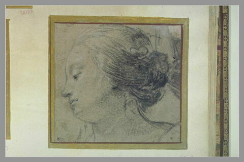 Tête de femme, de profil, à gauche, image 2/2