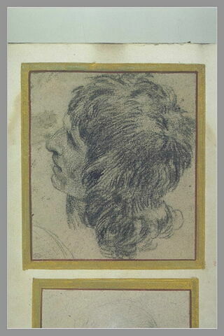 Tête d'homme, de profil, à gauche, cheveux tombant sur le cou, image 7/7