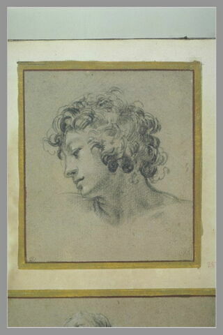 Tête d'adolescent aux cheveux bouclés, image 2/3