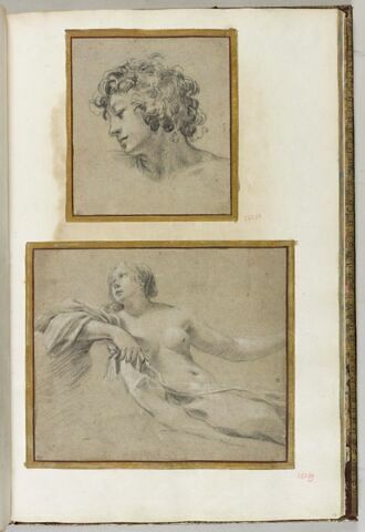 Tête d'adolescent aux cheveux bouclés, image 3/3