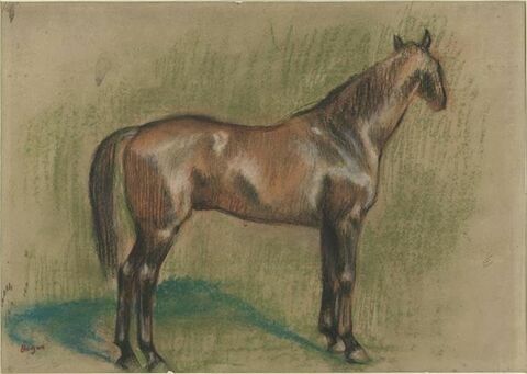 Etude de cheval, de profil à droite, image 1/1