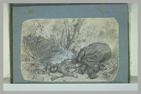 Chasseur européen gisant près d'un rhinocéros mort, image 1/1