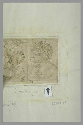 Homme noir en buste, de trois quarts à gauche, la poitrine nue, image 2/4